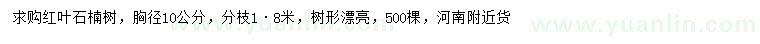 求購(gòu)10公分紅葉石楠