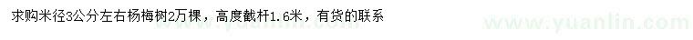 求購(gòu)米徑3公分左右楊梅樹(shù)