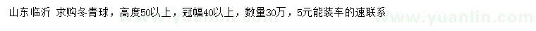 求購(gòu)高度50公分以上冬青球