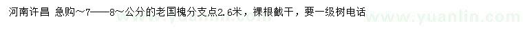 求購7、8公分老國槐