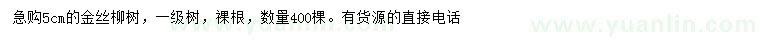 求購5公分金絲柳樹