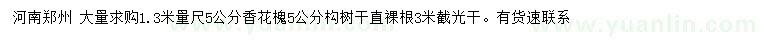 求購1.3米量尺5公分香花槐、5公分構(gòu)樹