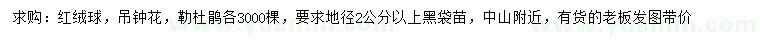 求購紅絨球、吊鐘花、勒杜鵑