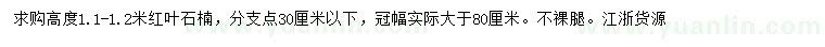 求購高1.1-1.2米紅葉石楠