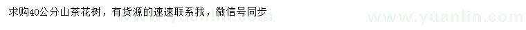 求購40公分山茶花