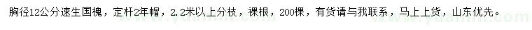 求購胸徑12公分速生國槐