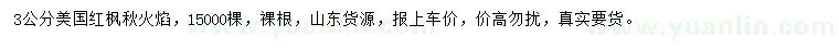 求購(gòu)3公分美國(guó)紅楓秋火焰
