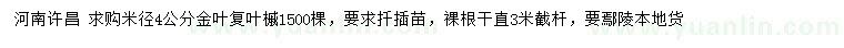 求購米徑4公分金葉復葉槭