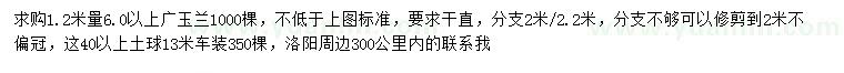 求購1.2米量6公分以上廣玉蘭