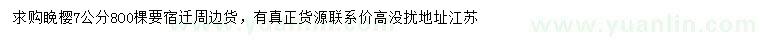 求購7公分晚櫻