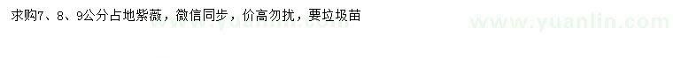 求購7、8、9公分垃圾紫薇