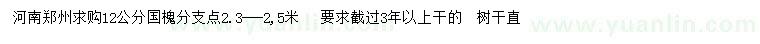 求購12公分國槐