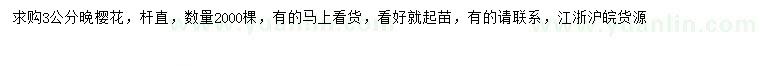 求購3公分晚櫻