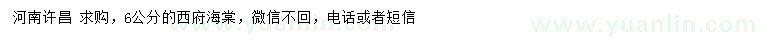 求購6公分西府海棠