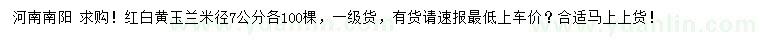 求購(gòu)米徑7公分紅、白、黃玉蘭