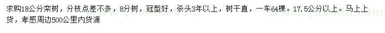 求購18公分欒樹