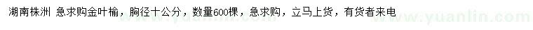 求購胸徑10公分金葉榆