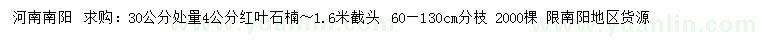 求購30公分處量4公分紅葉石楠