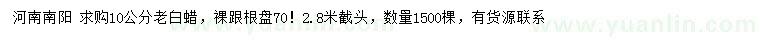 求購10公分老白蠟