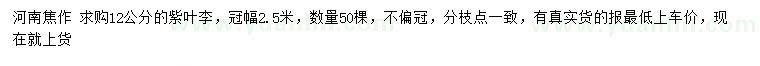 求購(gòu)12公分紫葉李