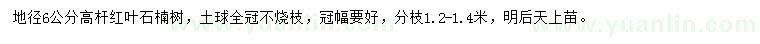 求購(gòu)地徑6公分高桿紅葉石楠