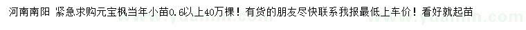 求購0.6公分以上元寶楓