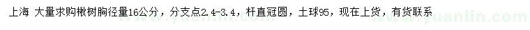 求購(gòu)胸徑量16公分楸樹(shù)