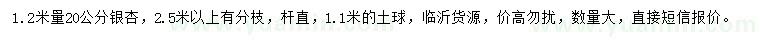 求購1.2米量20公分銀杏