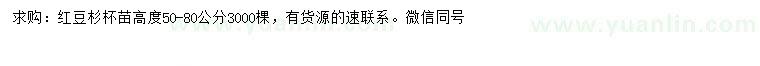 求購(gòu)高度50-80公分紅豆杉