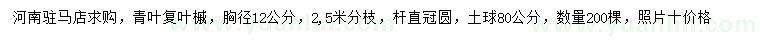 求購胸徑12公分青葉復(fù)葉槭
