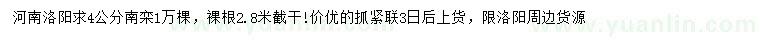 求購4公分南欒