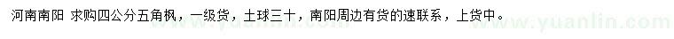 求購4公分五角楓