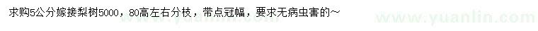 求購5公分嫁接梨樹