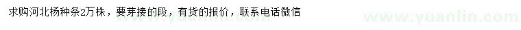 求購(gòu)河北楊種條
