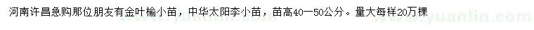 求購(gòu)高40-50公分金葉榆小苗、中華太陽(yáng)李小苗