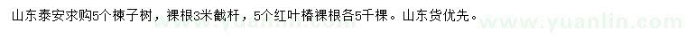 求購(gòu)5公分楝子樹、紅葉椿