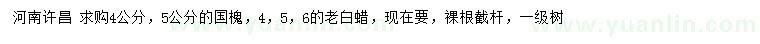 求購4、5公的國槐、4、5、6公分老白蠟