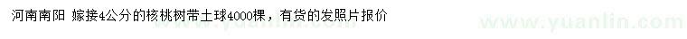 求購4公分核桃樹
