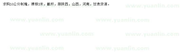 求購10公分刺槐