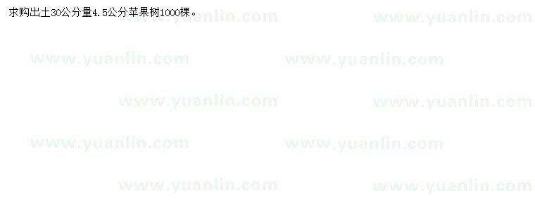 求購30公分量4.5公分蘋果樹
