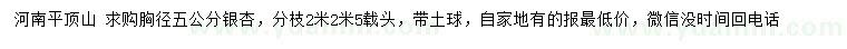 求購(gòu)胸徑5公分銀杏