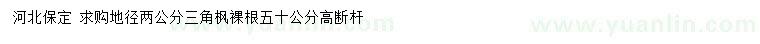求購地徑2公分三角楓