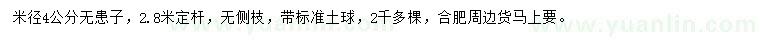 求購(gòu)米徑4公分無(wú)患子