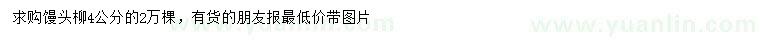 求購4公分饅頭柳