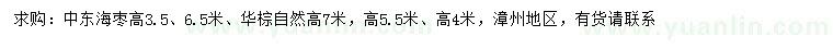 求購高3.5、6.5米中東海棗、4、5.5、7米華棕