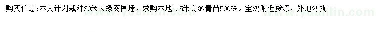 求購高1.5米冬青苗