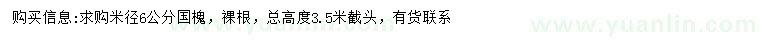 求購米徑6公分國槐