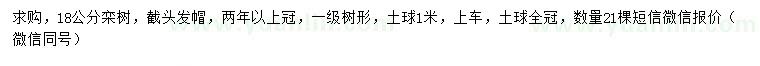 求購18公分欒樹