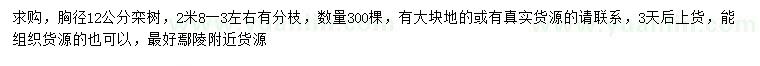 求購胸徑12公分欒樹