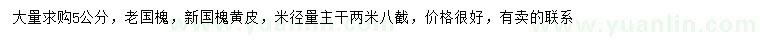 求購5公分老國槐